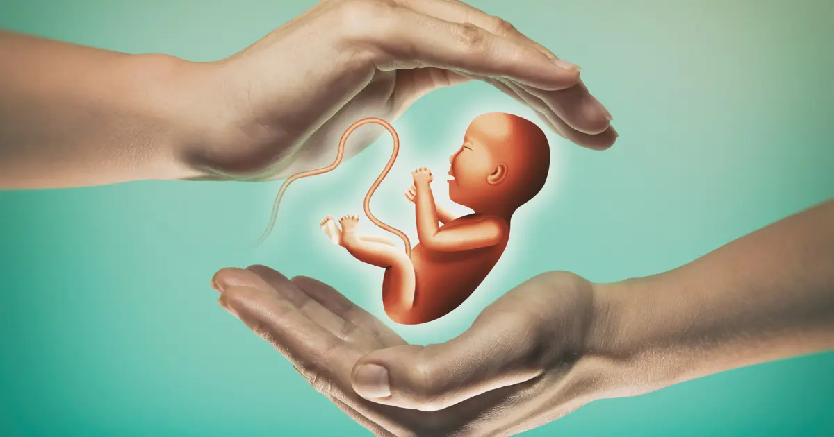 Tüp bebek tedavisinde şartlar değişiyor. Devlet desteği artacak, yaş sınırı değişecek