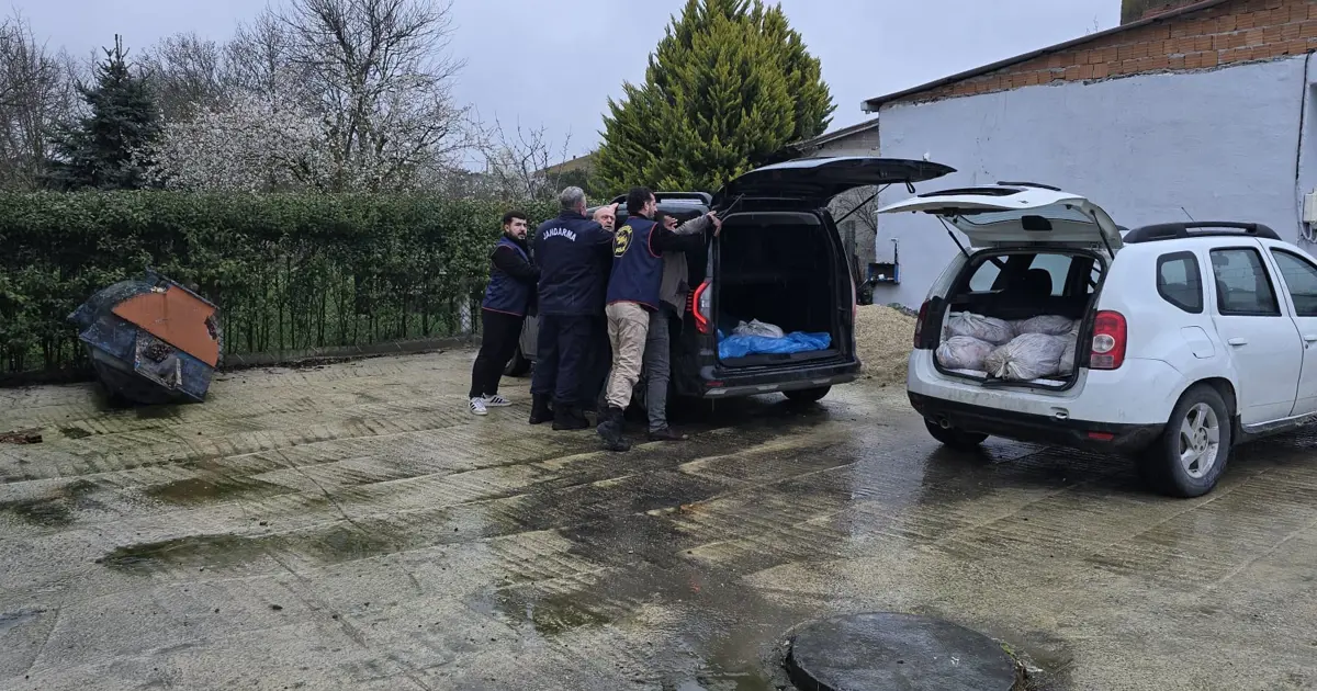 İstanbul’da at eti operasyonu. Silivri’de 306 kilogram ele geçirildi