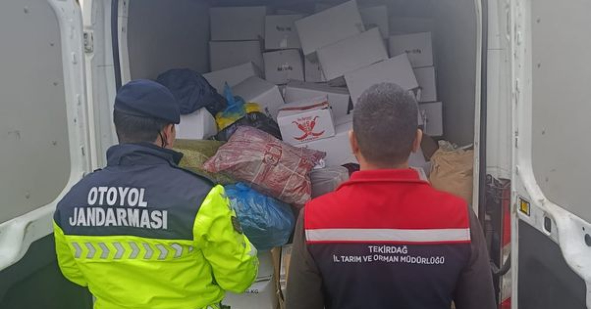 2 ton sağlıksız Antep fıstığı imha edildi