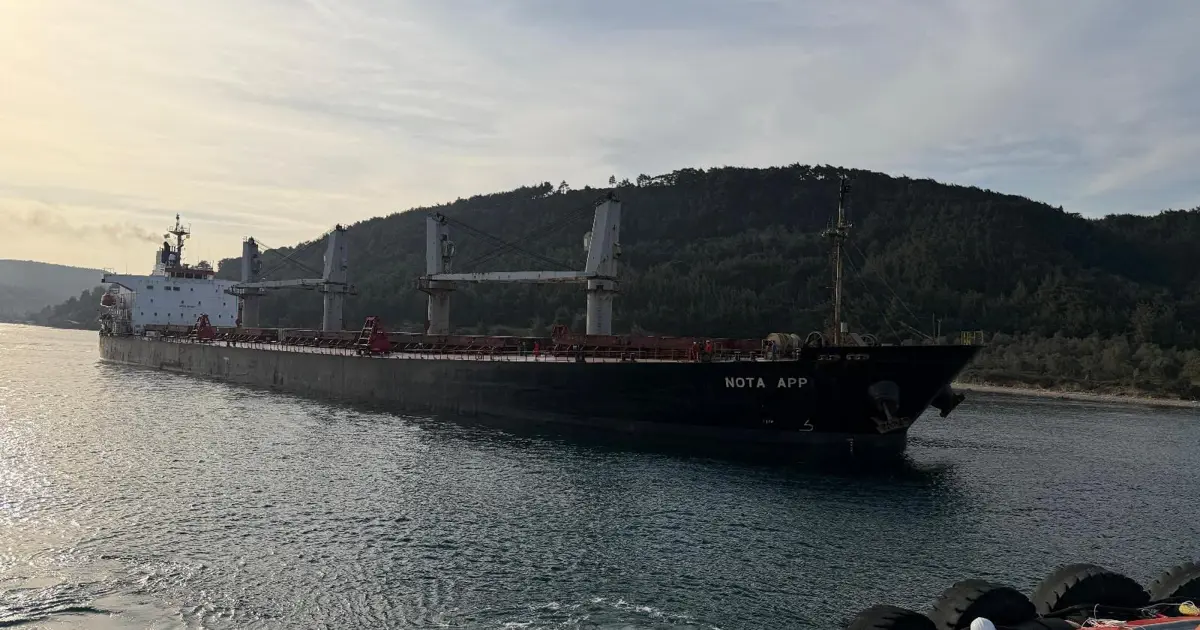 Çanakkale Boğazı’nda gemi karaya oturdu