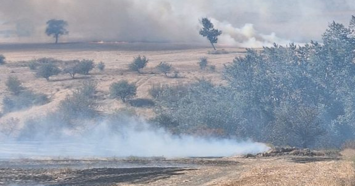 Edirne’de anız yakanlara 518 bin lira ceza