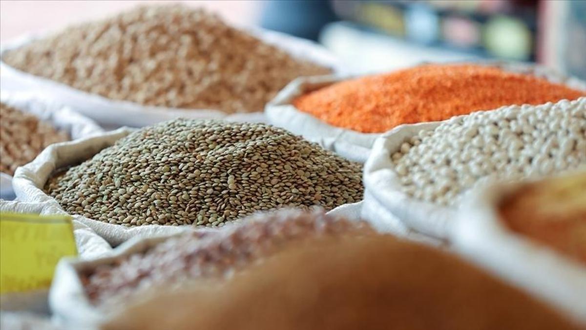 Hububat ve bakliyat ihracatı 2 ayda 1,9 milyar dolara ulaştı