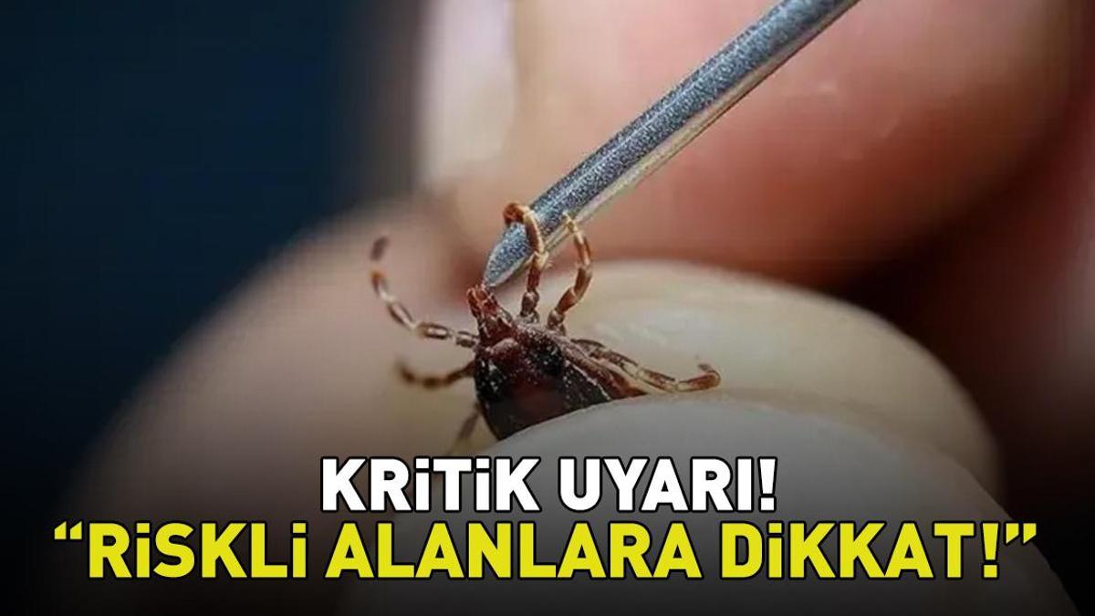 Aman dikkat! Uzman isimden kene uyarısı! ‘Belirtiler 3. günden itibaren ortaya çıkabiliyor’