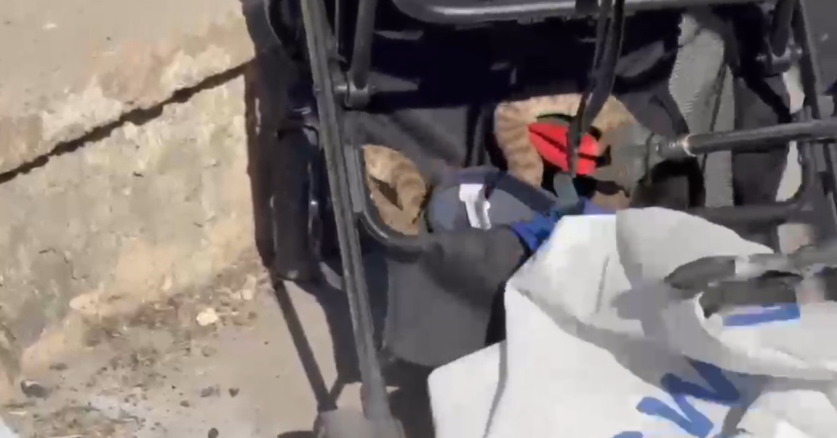 Bebek arabasına yılan düştü!