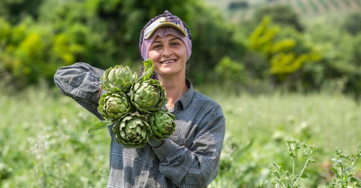 Bursa’nın tescilli lezzetinde hasat zamanı
