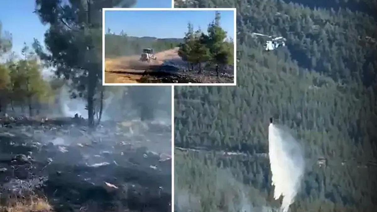 CİĞERLERİMİZ YANDI! Gaziantep’te orman yangını