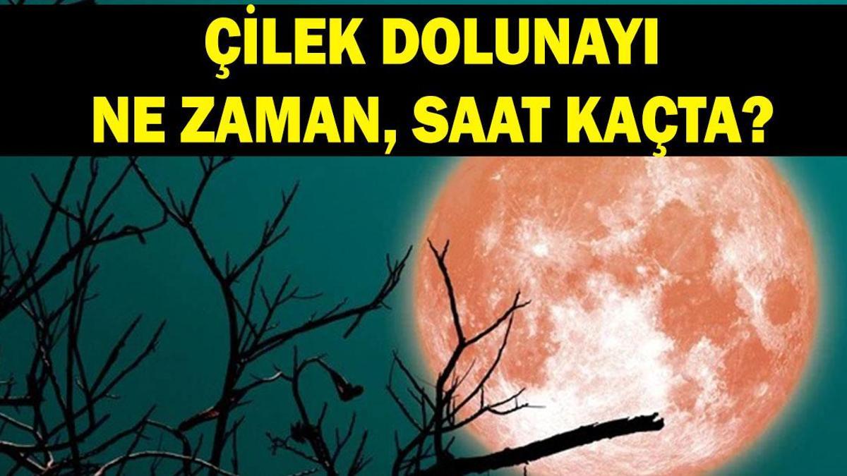 ÇİLEK AY NE ZAMAN? 2026 Haziran Dolunayı hangi gün, saat kaçta? Oğlak Dolunayı Türkiye’den görülecek mi?