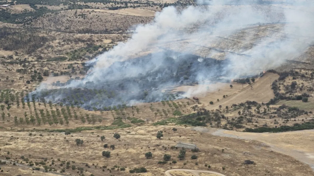 Çanakkale’de ormanlık alanda yangın çıktı! Ekipler müdahale ediyor