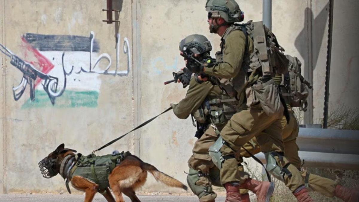 Demir Kubbe Fiyaskosu! İsrail’de Artık Köpek Timleri Devrede