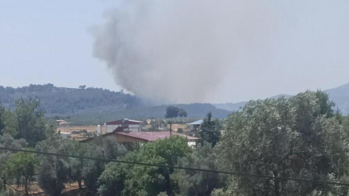 Muğla’da yangın: Alevler ormanlık alana sıçradı