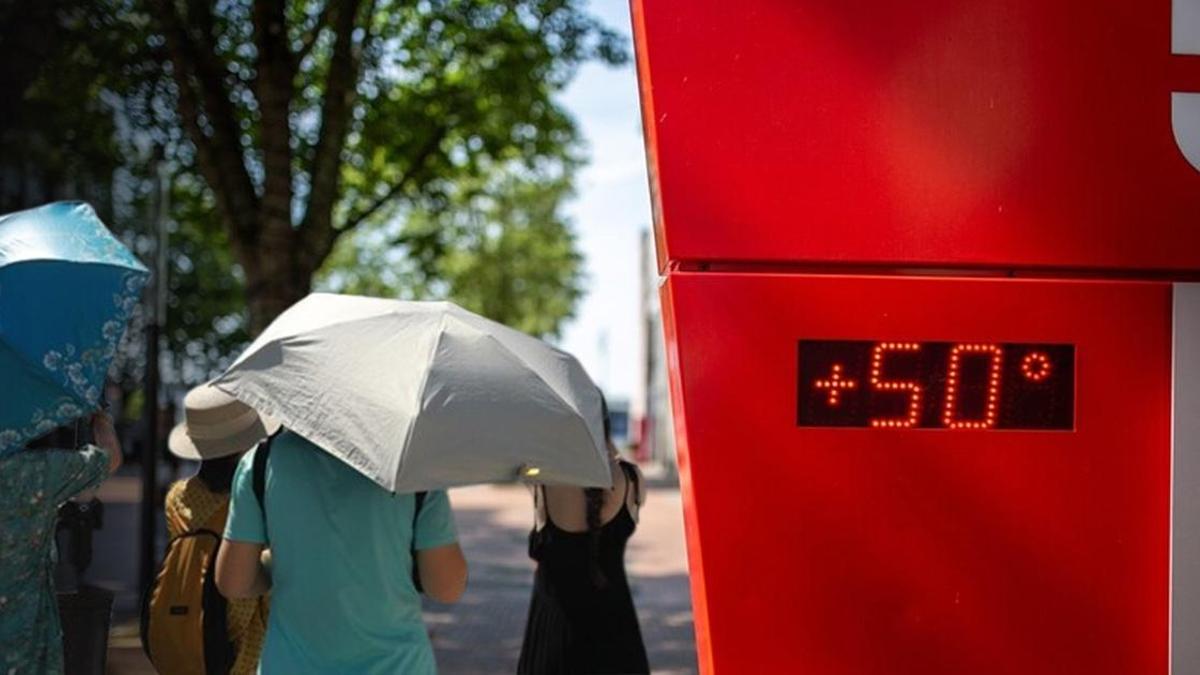 SESSİZ KATİL! Avrupa’da bilanço 1300’ü buldu