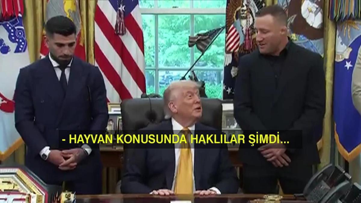 Trump 80 yaşında: Beyaz Saray ringe mi dönüşüyor?
