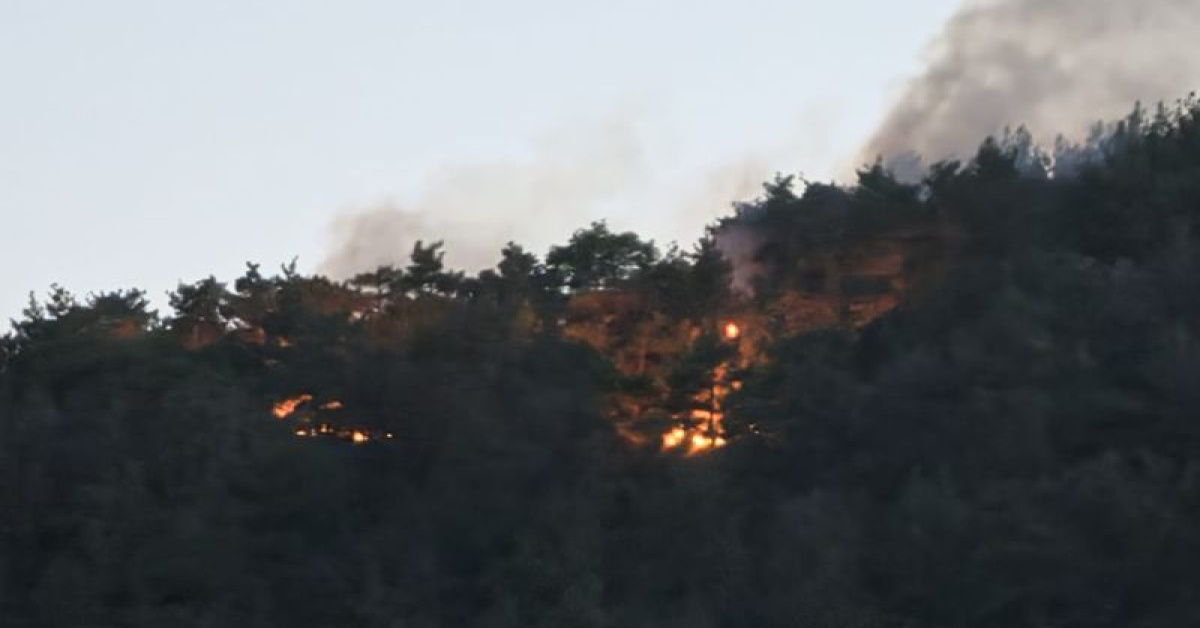 Adana’da orman yangını