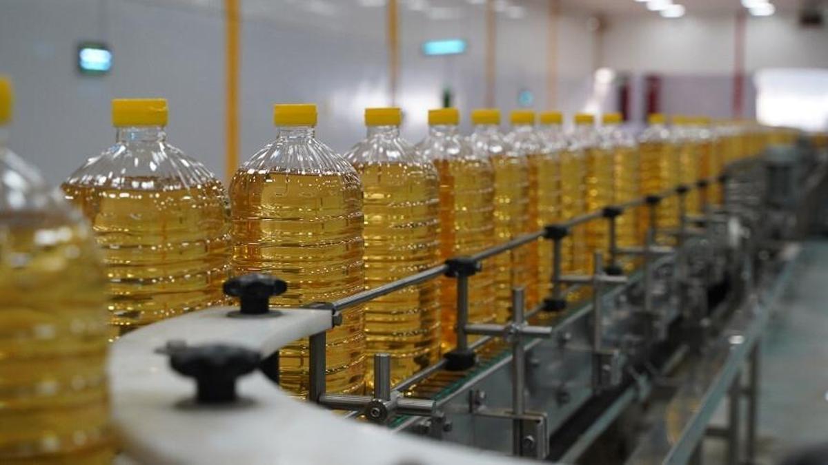 Ayçiçeği ithalatında yeni karar! Ticaret Bakanlığı tarife kontenjanını açıkladı