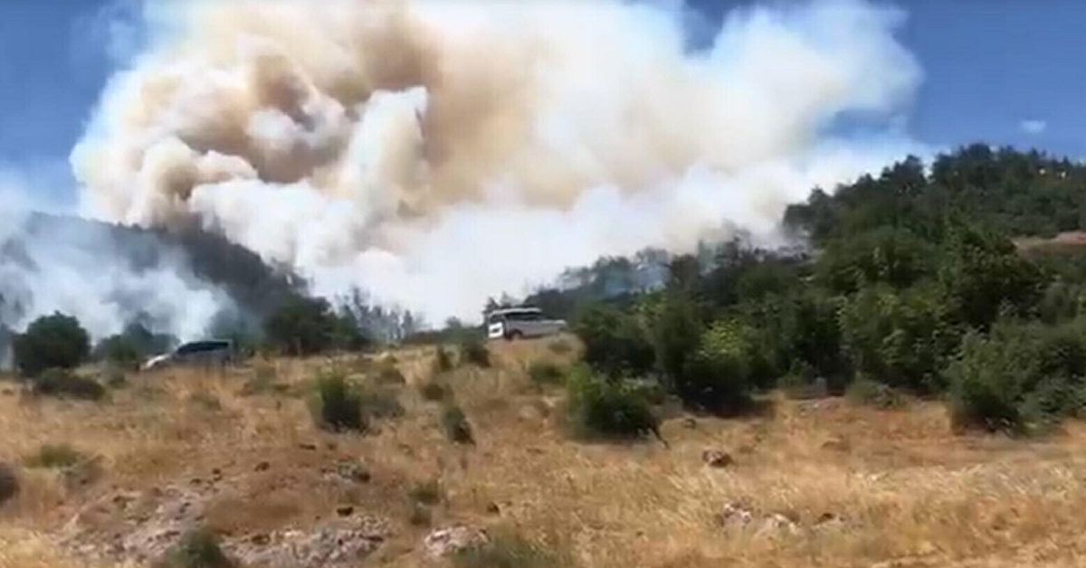 Balıkesir’de orman yangını!