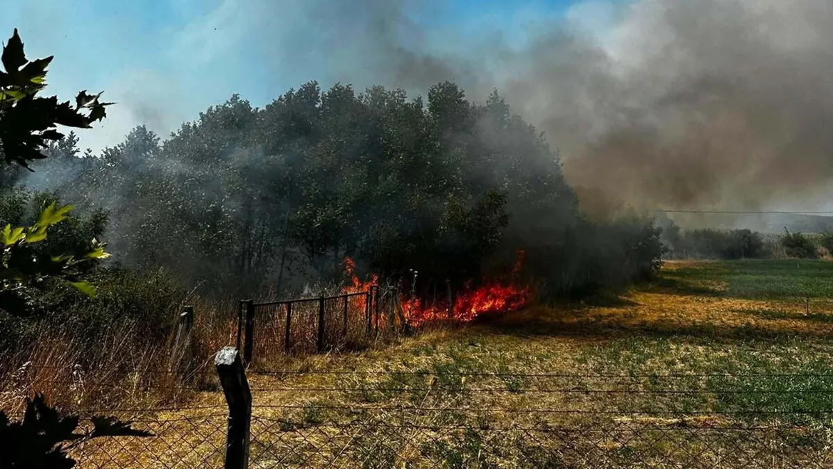 Çanakkale Ayvacık’ta otluk alan yangını söndürüldü