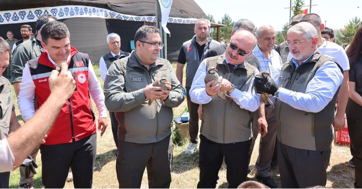 Çorum’da keneyle mücadele için doğaya keklik