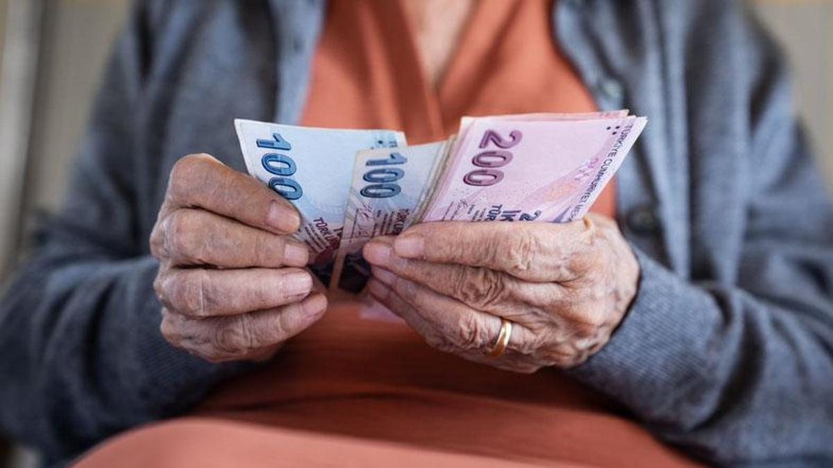 Emeklilere ve yaşlılara 40’tan fazla yeni destek! İşte tüm haklar