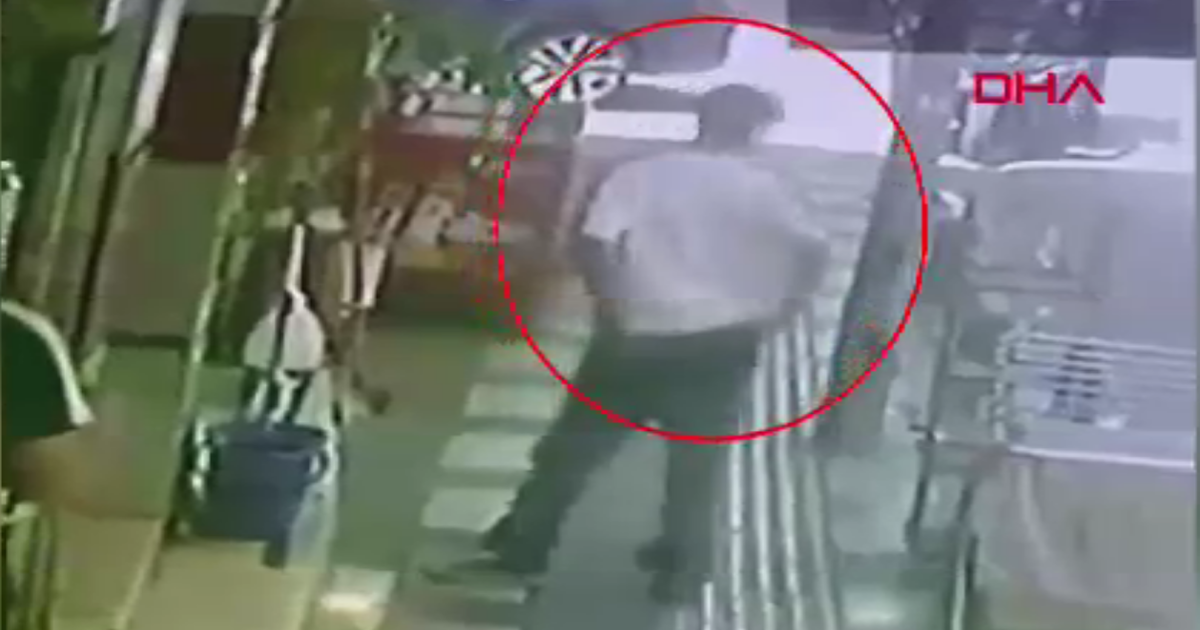 İş yerinin önündeki papağanı kafesinden çaldılar