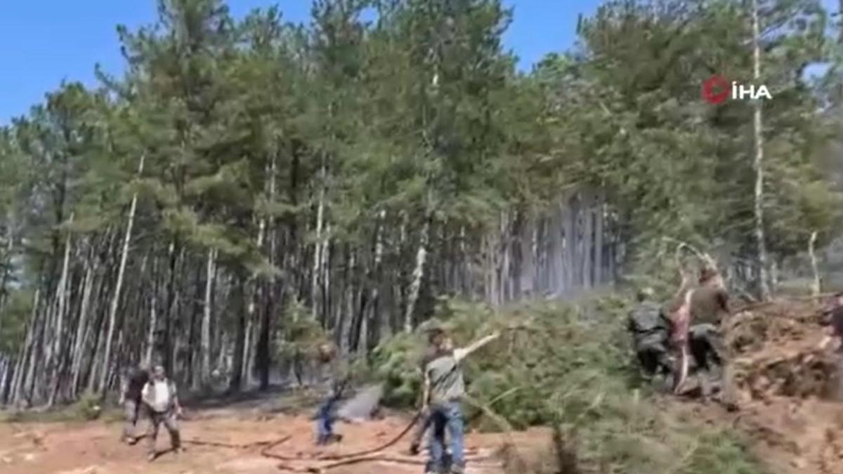 Kastamonu’da orman yangını: Alevlere havadan ve karadan müdahale edildi