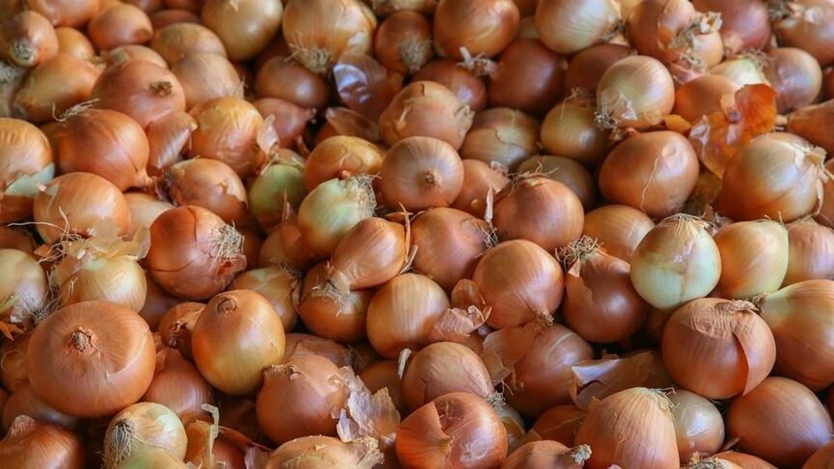 Kuru soğan ithalatında gümrük vergisi geçici olarak yüzde 5’e indirildi