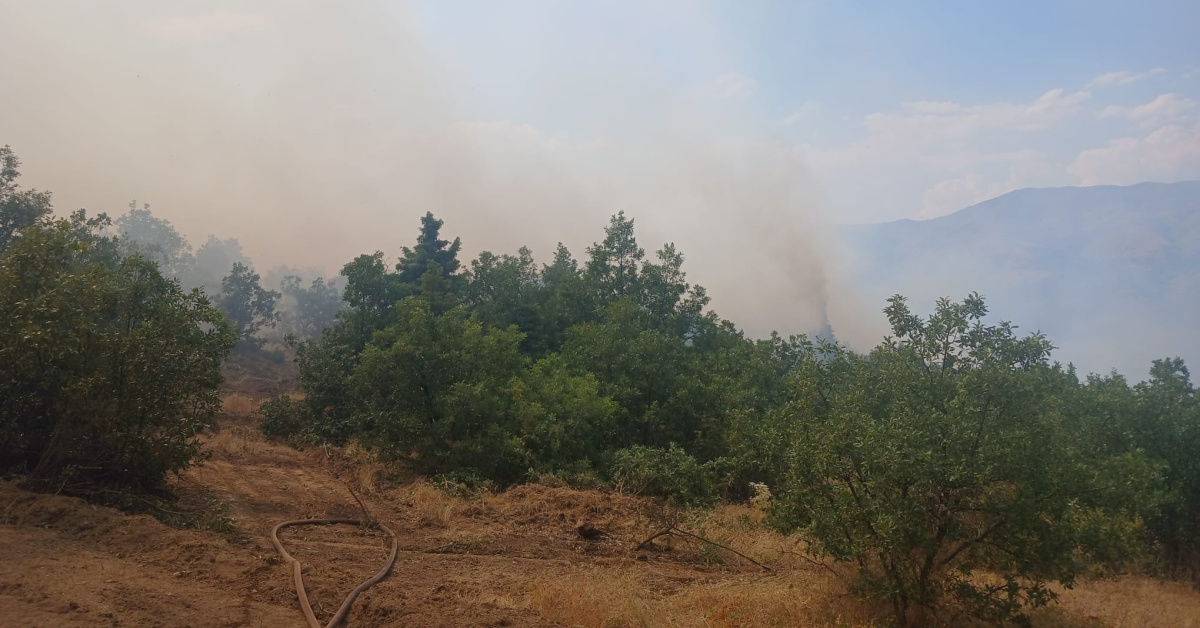 Malatya’da orman yangını