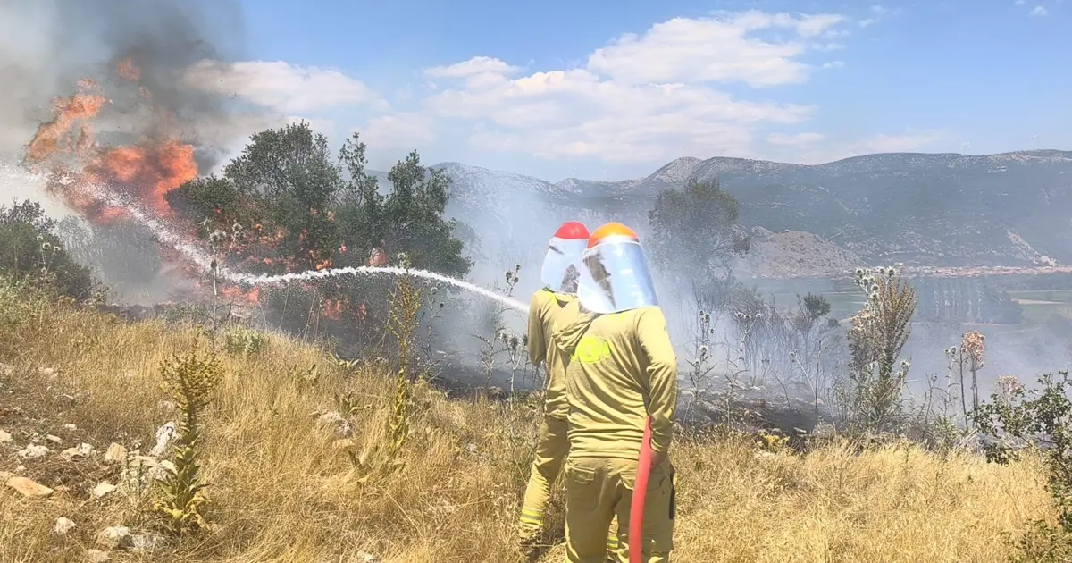 Menteşe ormanlarında yangın