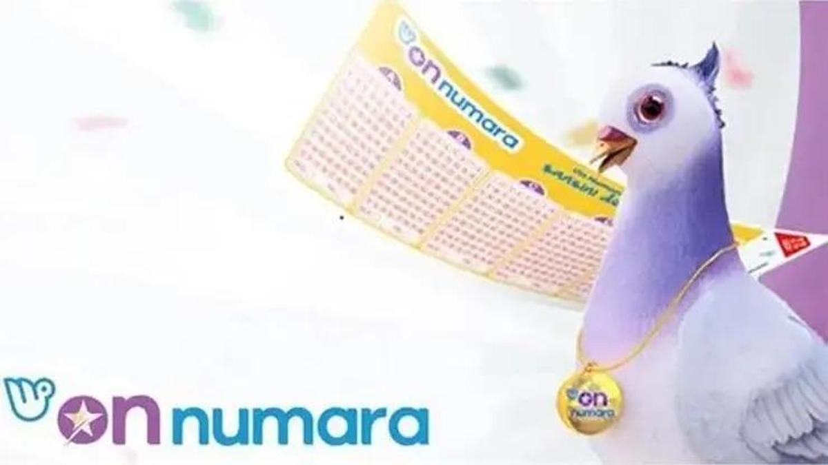 ON NUMARA SONUÇLARI 17 TEMMUZ: On Numara sonuçları açıklandı mı, ne zaman açıklanacak?