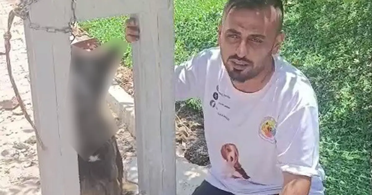Sahipli köpeği zehirleyip direğe astılar