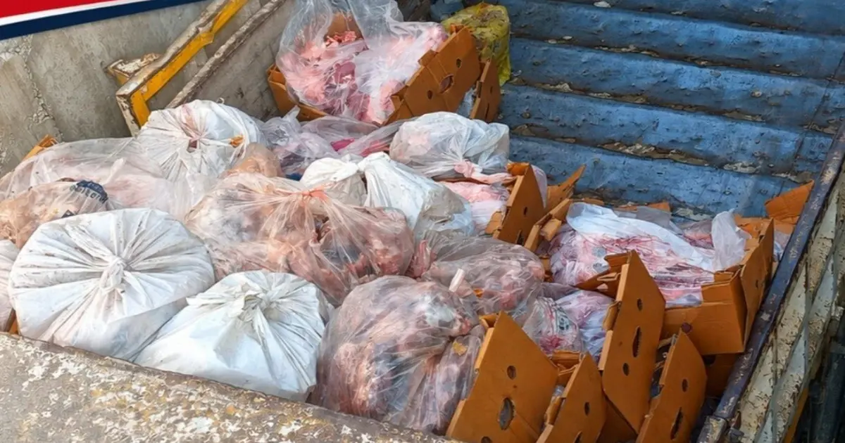 Sakarya’da 5 buçuk ton etiketsiz et ele geçirildi