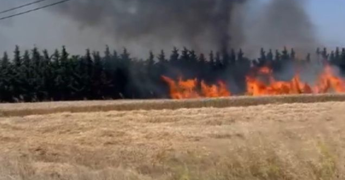 Silivri’de direk kesiminde tarlalar yandı