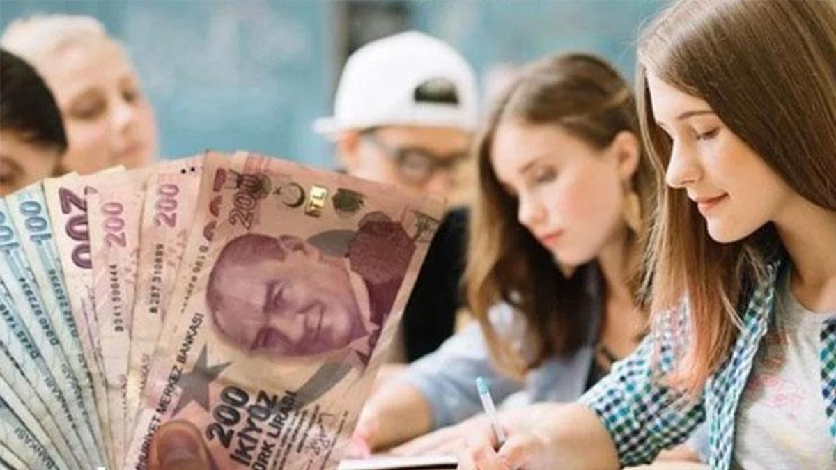 TENMAK lisans başarı bursu programı başlıyor: Üniversiteye başlayan öğrencilere 13 bin 750 TL