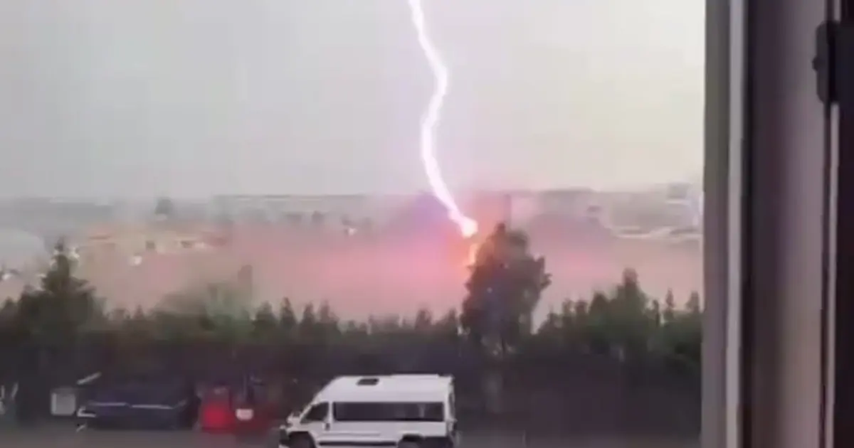 Tekirdağ’da palmiye ağacına yıldırım düştü, alev alev yandı