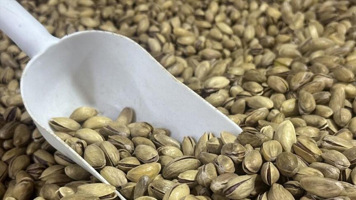 Türkiye 66 ülkeye 60,8 milyon dolarlık fıstık ihraç etti