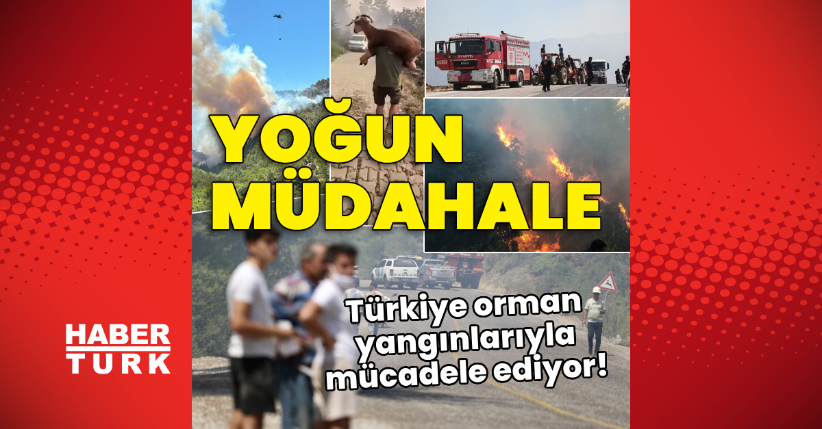 Türkiye orman yangınlarıyla mücadele ediyor!