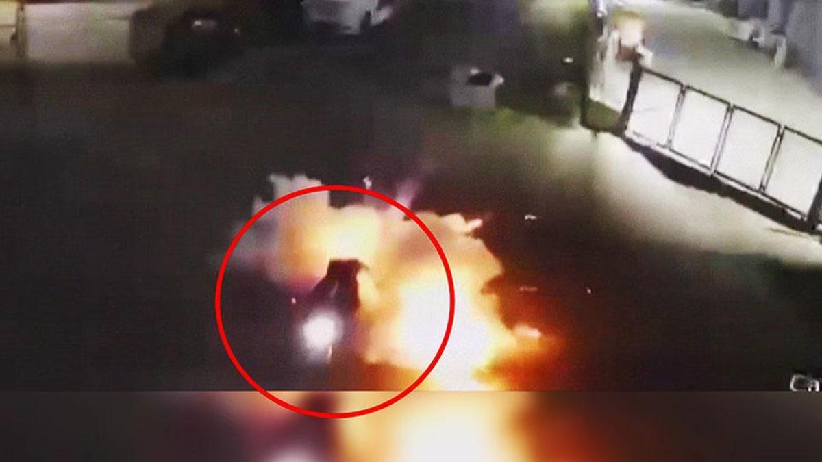 Zamanlayamadı, patlayıcı elinde patladı! 17 yaşındaki şüphelinin parmağı koptu
