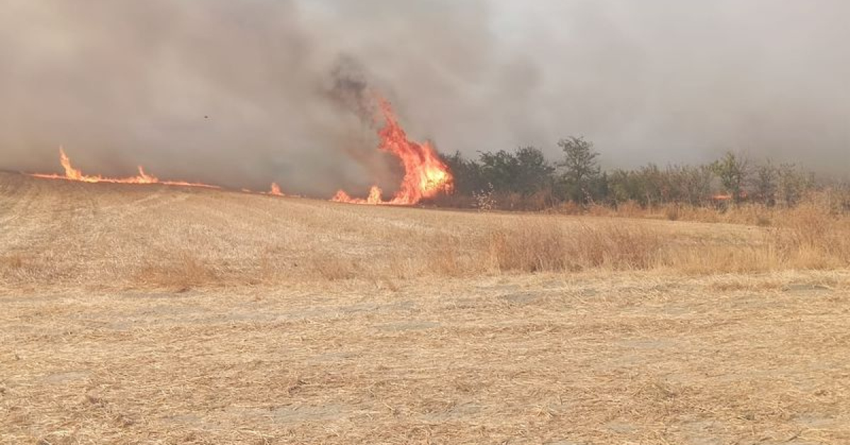 Edirne’de 2 bin 67 dekar tarım alanı zarar gördü