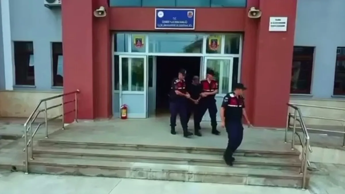 Gerze’de orman yangını! İşletme sahibi tutuklandı