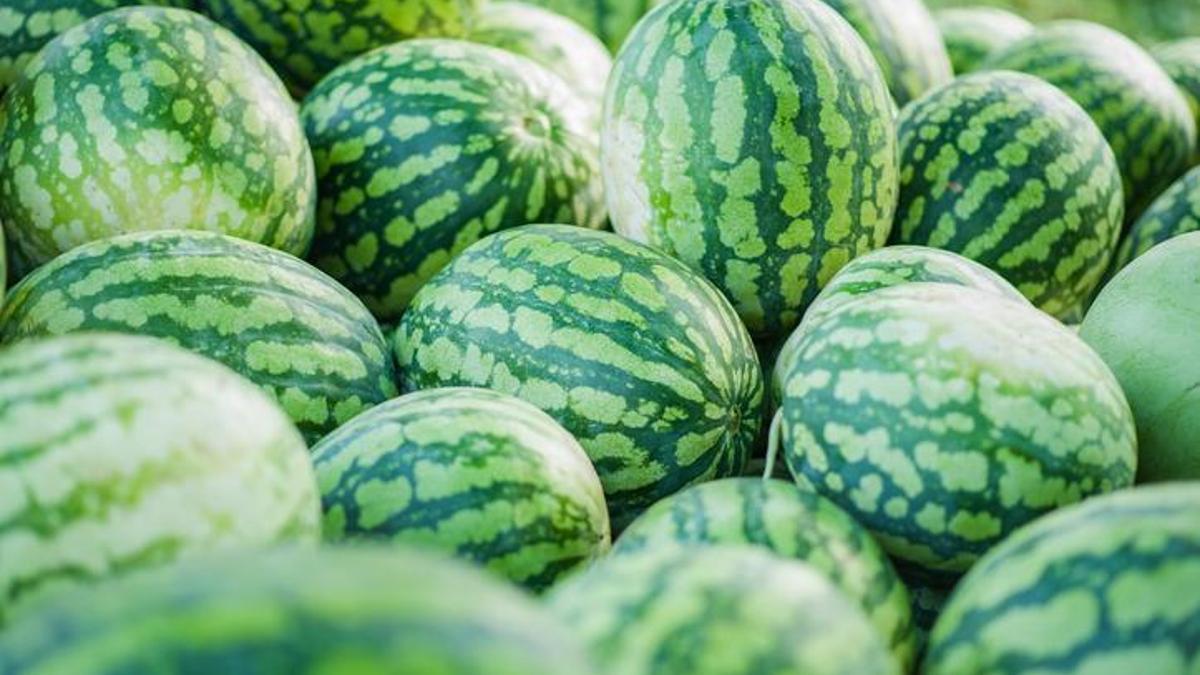 İstanbul hallerinde temmuz ayının şampiyonu belli oldu: Karpuz ve domates zirvede