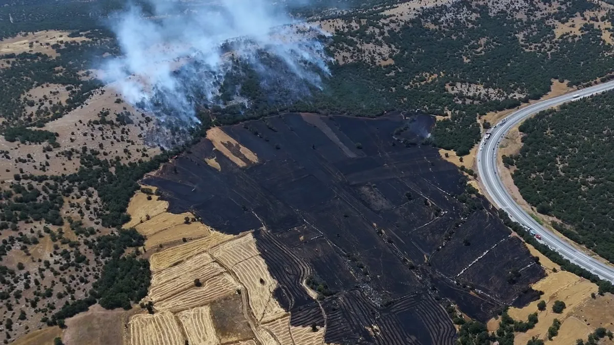 Kütahya’da tarladan ormana sıçrayan yangın kontrol altında: 3 helikopter, 20 kara aracı ve yaklaşık 150 personelle seferberlik