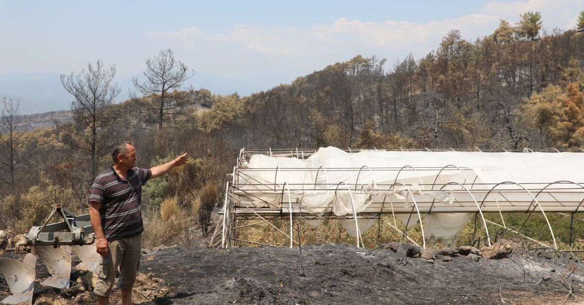 Muğla Büyükşehir’den yangından etkilenenlere destek
