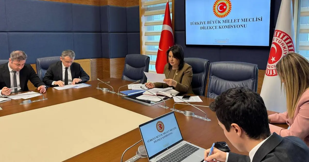 TBMM Dilekçe Komisyonu’na ilginç talepler. “İstanbul kışlık, Ankara yazlık başkent olsun”