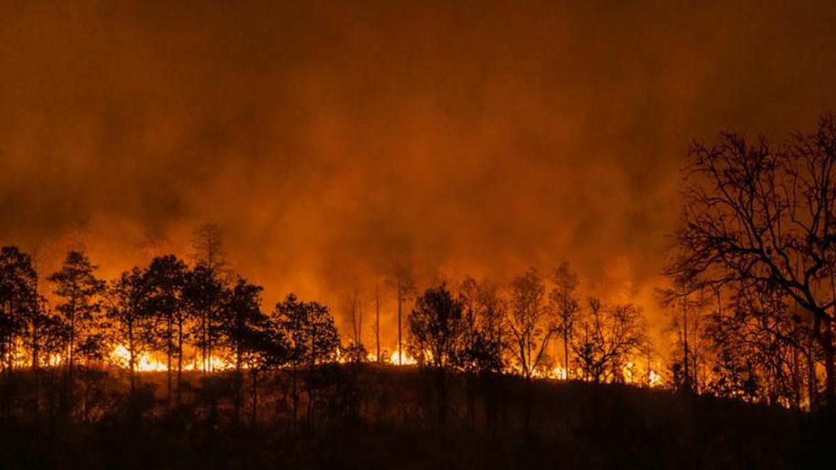 Yunanistan’da yangın alarmı: Ekipler 73 noktada mücadele ediyor